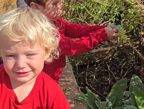 Screenshot 2025-12-27 055832