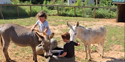 Screenshot 2025-12-27 064839